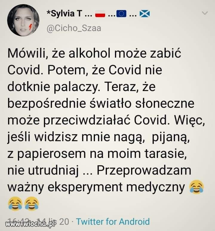 Eksperyment. Nie przeszkadzać.