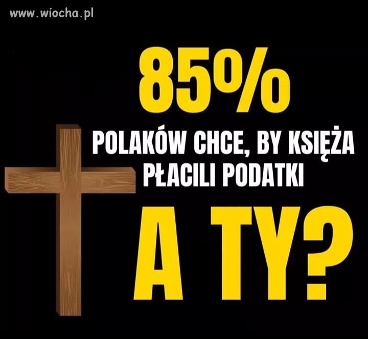 Powinni płacić podatki?