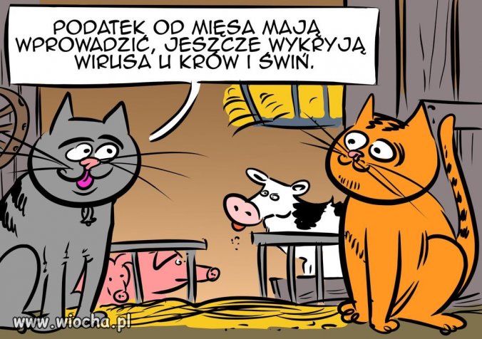  Skarbonke państwo musi wypełnić.