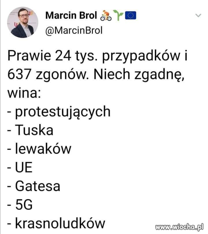 Każdy winny