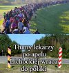 Lekarze wracają 