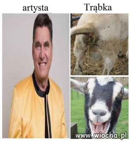 Rebus
