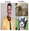 Rebus