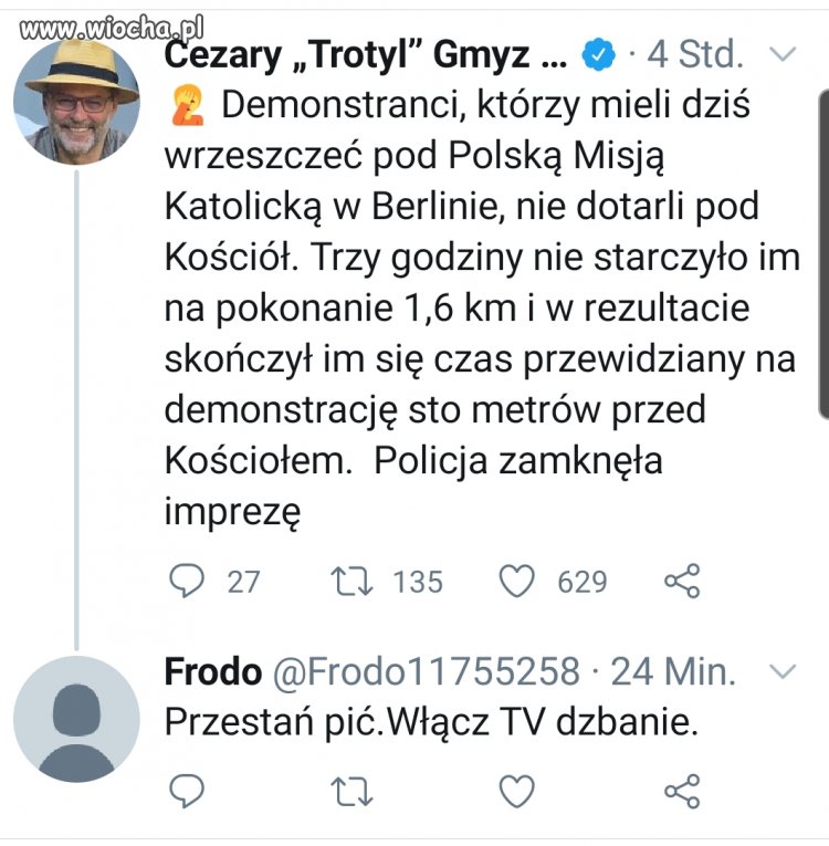 Gmyz w temcie
