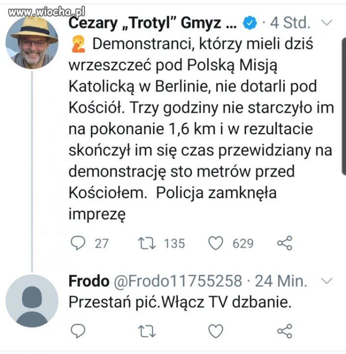 Gmyz w temcie
