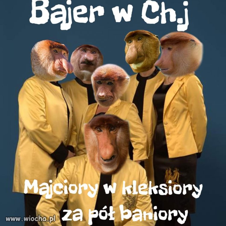 Niezły 