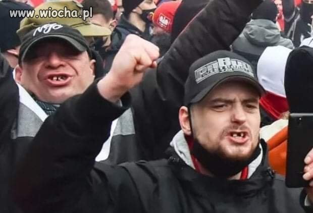 Wszyscy się pomylili. 