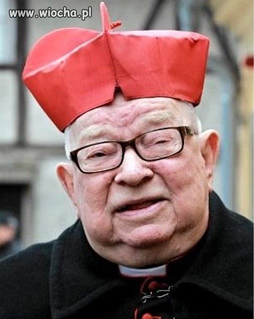 Polak, Jędraszewski, Głódź czy Dziwisz są inni 