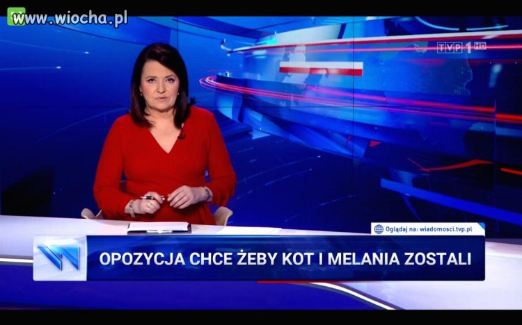 Kot i Melania mogą zostać...