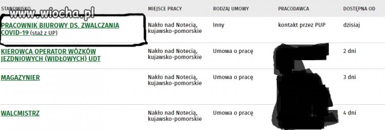 Takie rzeczy tylko w Urzędzie pracy