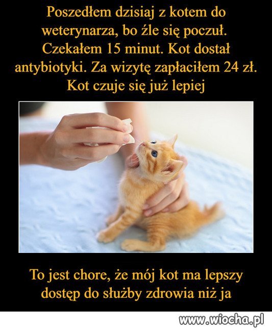 Dobra Zmiana?