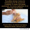 Dobra Zmiana?