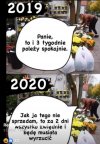 # tygodnie jak nic poleży :)