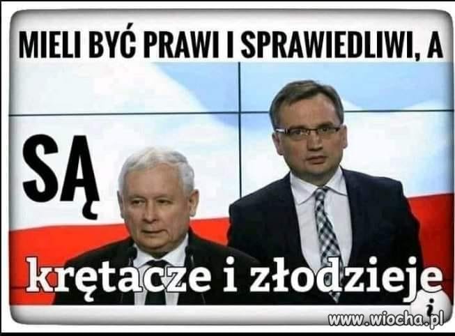 Krętacze i