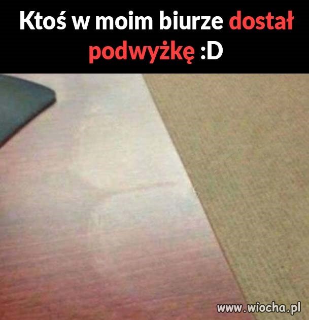 Kariera przez ...