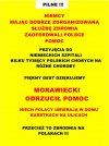 NIEMCY MAJĄC DOBRZE ZORGANIZOWANĄ 