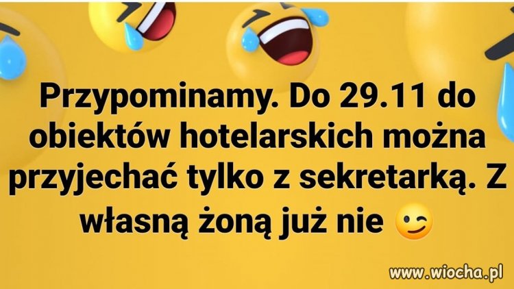 Brawo PiS 