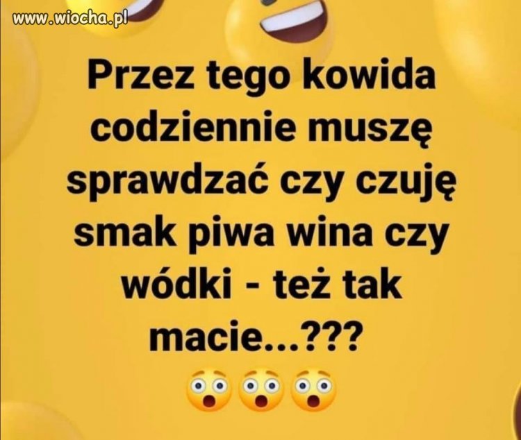 Najlepsze testowanie
