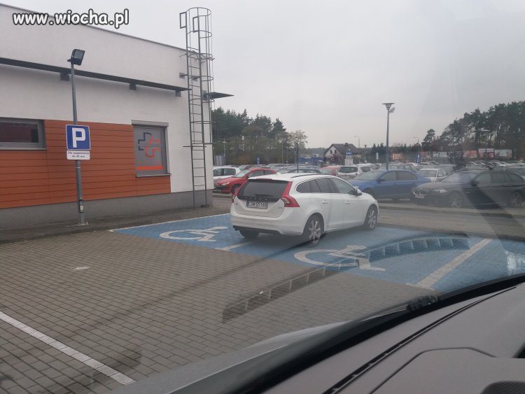 Mistrzyni parkowania