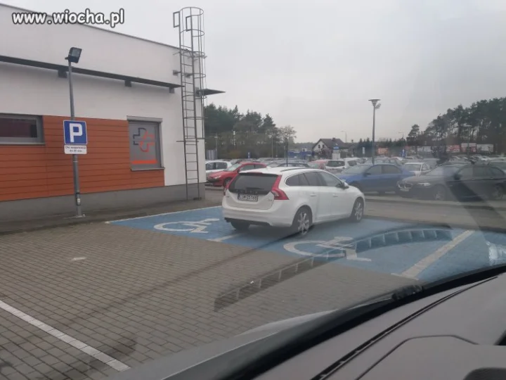 Mistrzyni parkowania