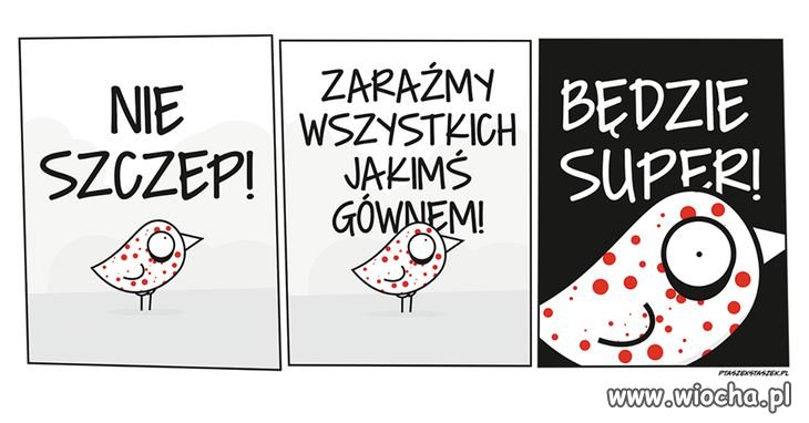Edyto-coś w tym jest