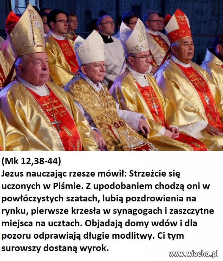 Pasuje idealnie