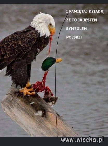 Tak że ten...