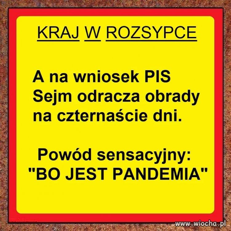 Bo jest pandemia