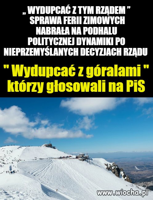 PiS-góral 