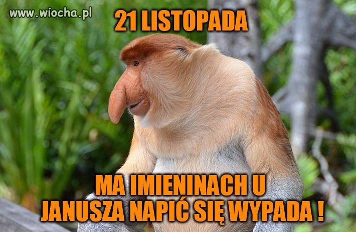 Najlepszego Januszowie