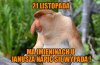 Najlepszego Januszowie