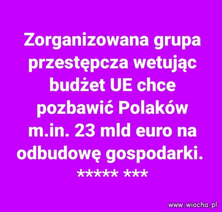 Szaleńcy przy władzy ...