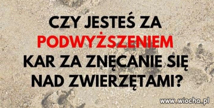 Zdecydowanie tak. To są istoty żywe