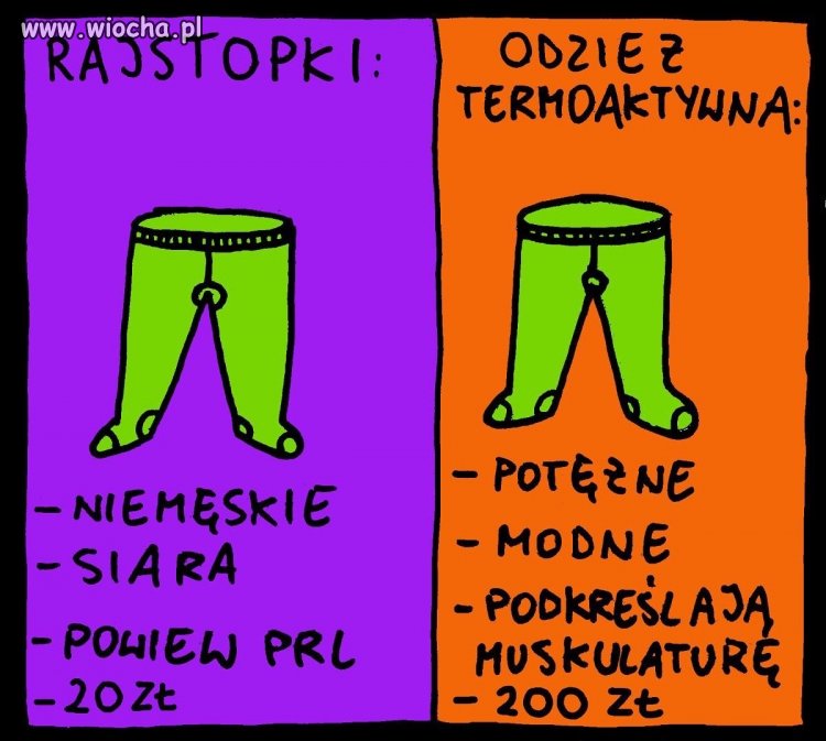 Rajstopki 