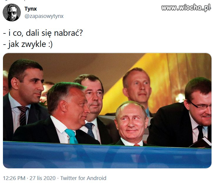 łyknęli jak ... 