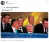 łyknęli jak ... 