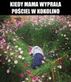 Pościel wyprana w