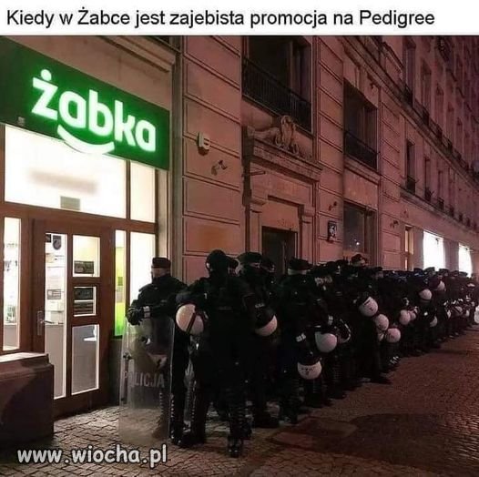 Promocja na karmę dla psów