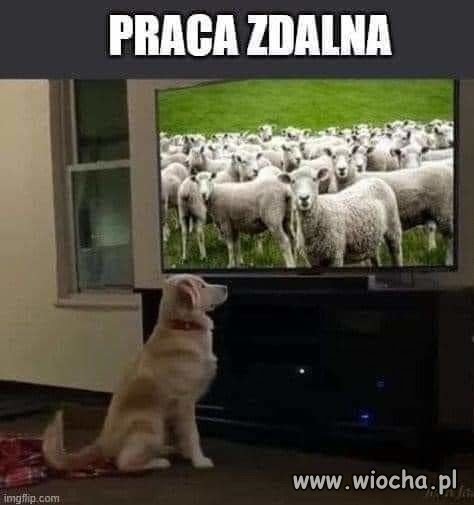Tak to wygląda