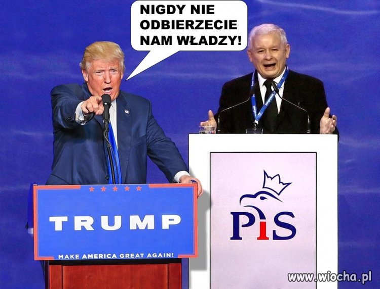 Nigdy