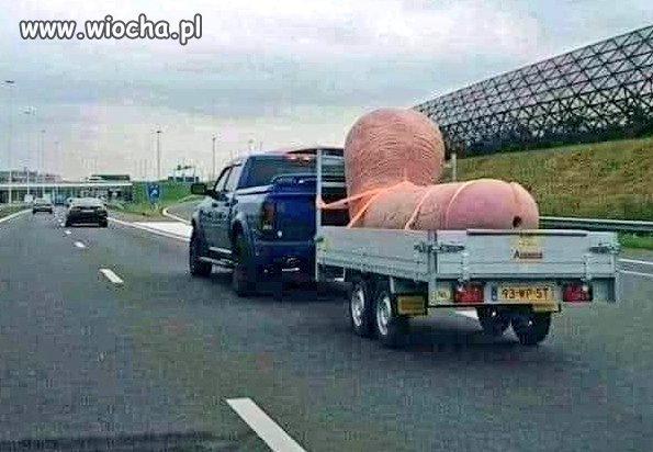 Czy to KontrMarsz na Warszawę