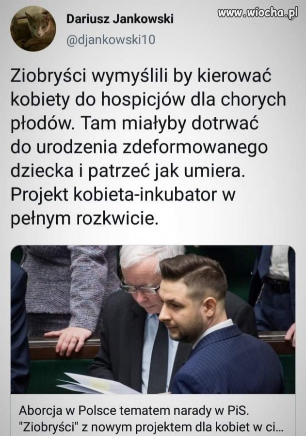 Projekt kobieta-inkubator