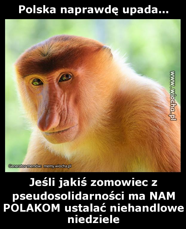 Polska naprawdę upada...