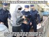 Wreszcie coś się udało sprawnie ogarnąć