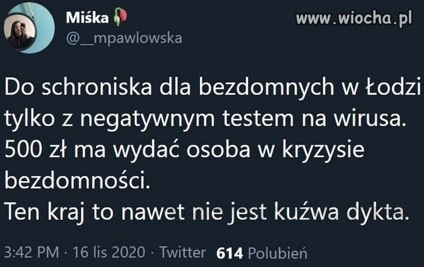 Schronisko w Łodzi   