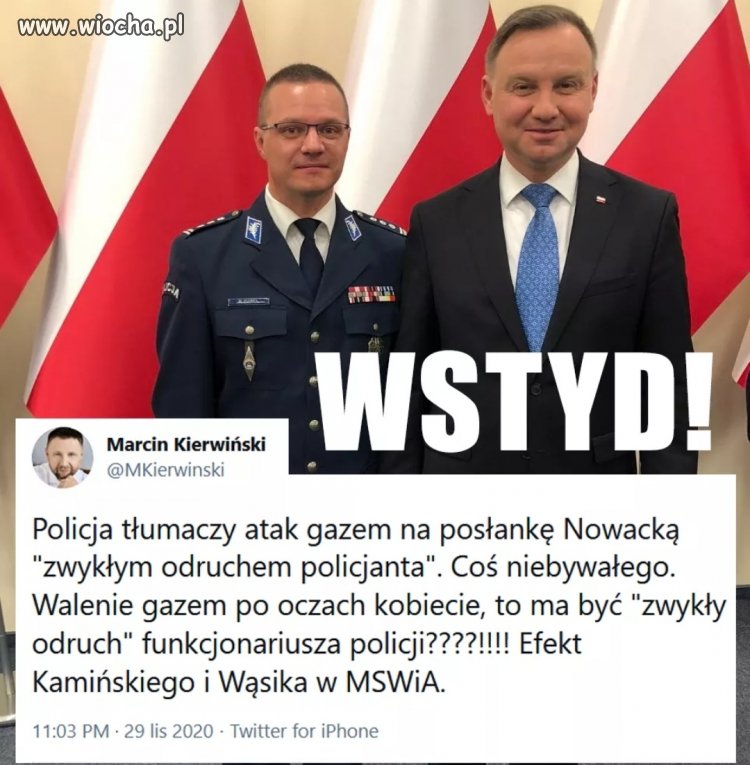 Zwykły 