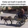 Quad