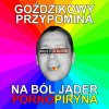 Pornopiryna