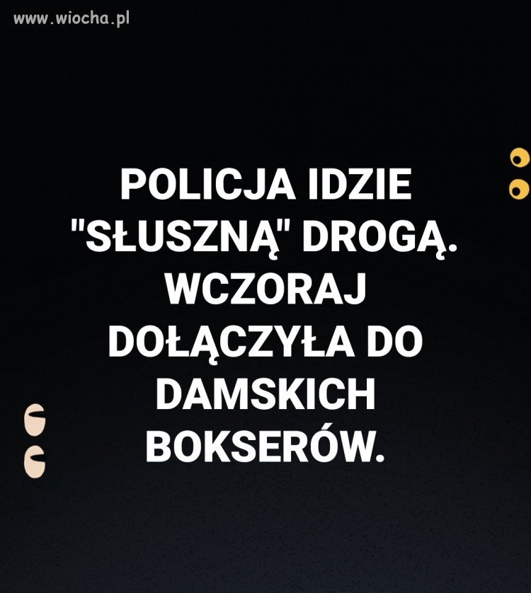 Brawo wy... 