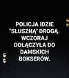 Brawo wy... 